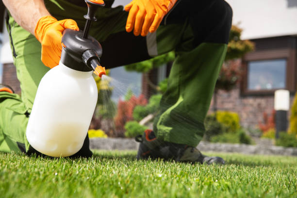 Best Termite Control Services  in Bowling Green, FL